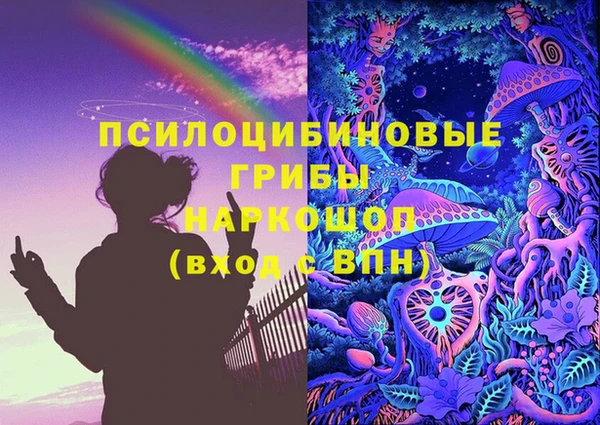 соль ск Переславль-Залесский