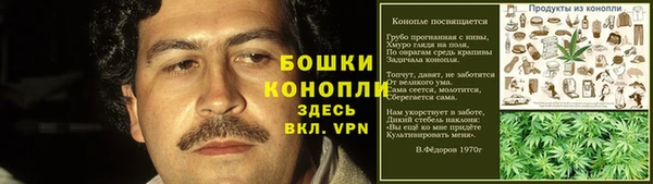 соль ск Переславль-Залесский