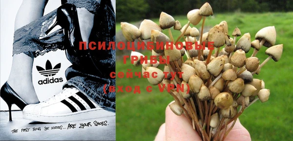 a pvp Янаул