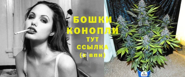 соль ск Переславль-Залесский