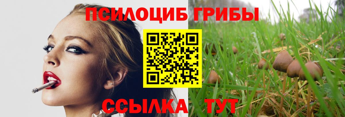 Сокол  Галлюциногенные грибы Magic Shrooms  Псилоцибиновые грибы Magic Shrooms  Вход с VPN 
